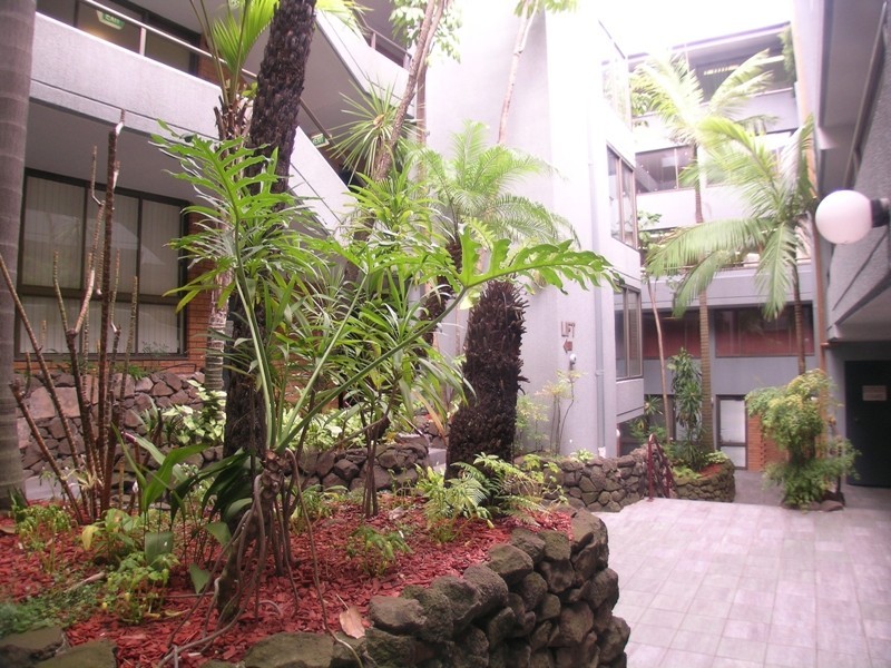 Suite 2b, 201 New South Head Road, Edgecliff NSW 2027