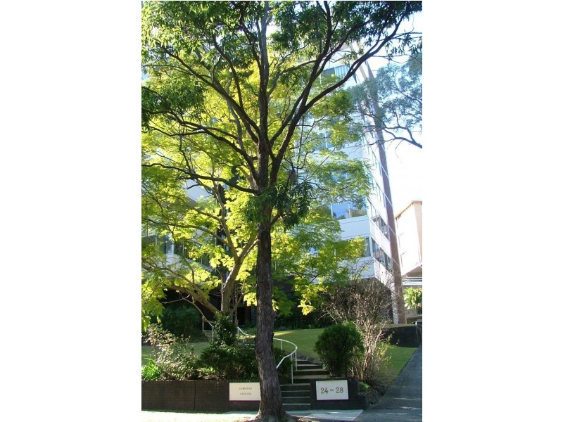 2/24 Helen Street, Lane Cove NSW 2066