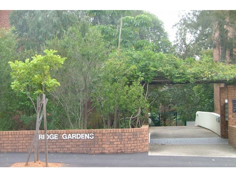 53/215 Bridge Road, Glebe NSW 2037