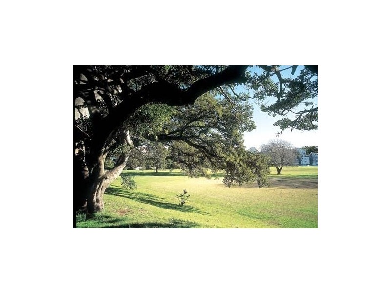 4F/153 Bayswater Road, Rushcutters Bay NSW 2011