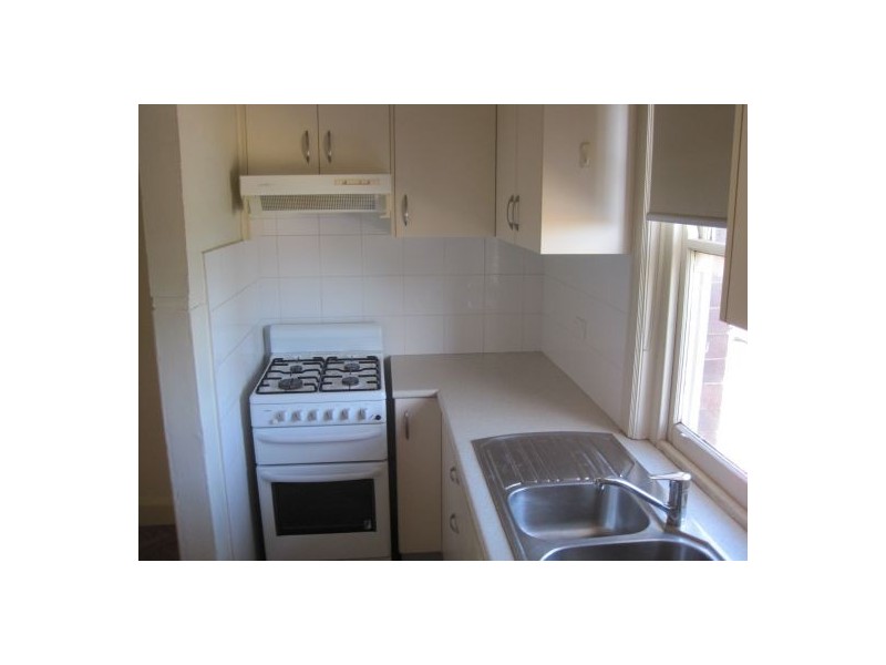 66 LIVINGSTONE ROAD, Petersham NSW 2049