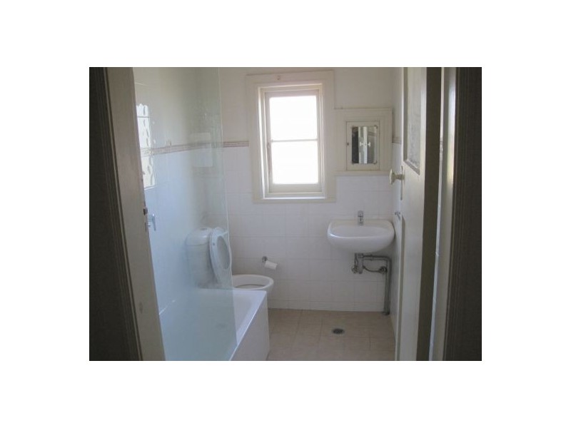 66 LIVINGSTONE ROAD, Petersham NSW 2049