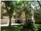 55 Albert Road, Strathfield NSW 2135