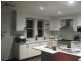 Ashfield NSW 2131