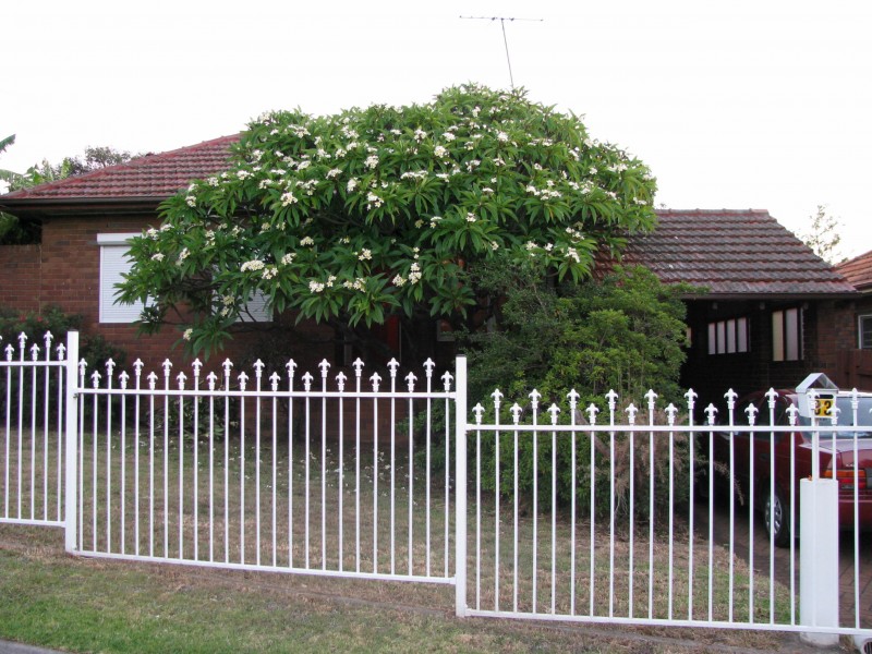 33 ALEXANDRA, Westmead NSW 2145