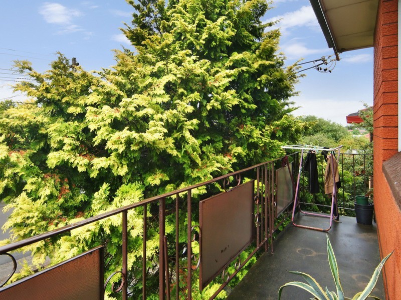 37 Mckern Street, Campsie NSW 2194