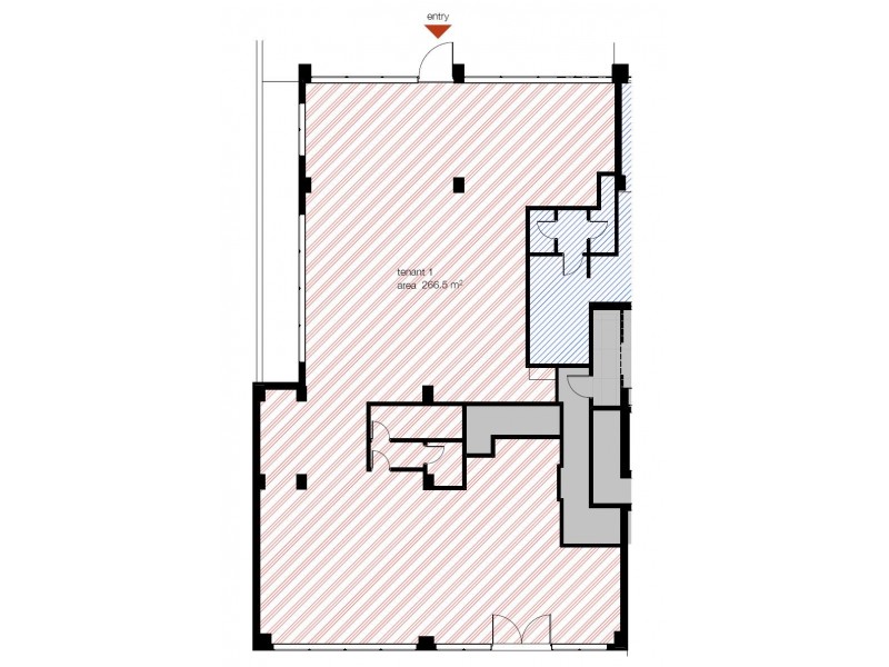 1/39-41 Cooper Street, Strathfield NSW 2135