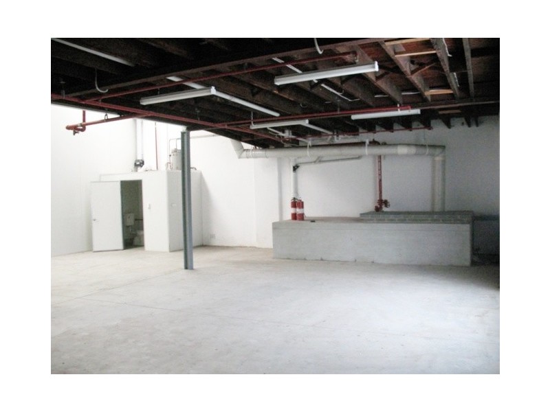 47 Applebee Street, St Peters NSW 2044