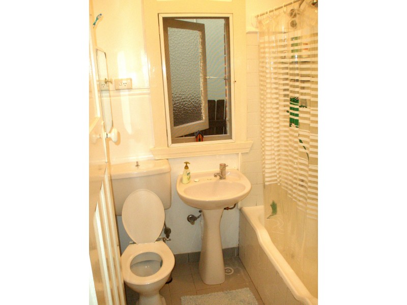 166 CORONATION PARADE, Enfield NSW 2136