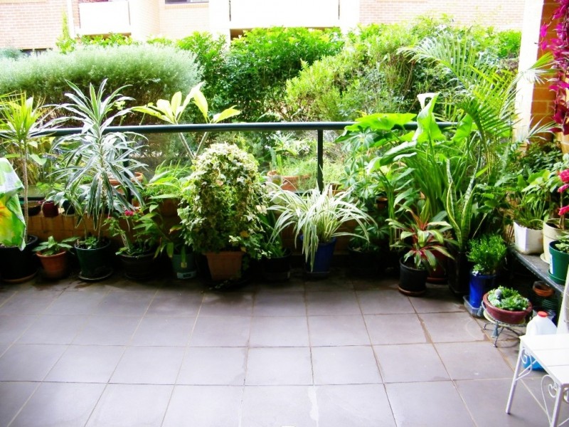 35/4-6 Bundary Road, Carlingford NSW 2118