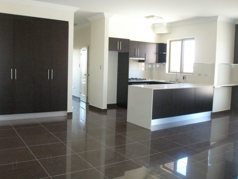 48 HILLIERS STREET, Auburn NSW 2144