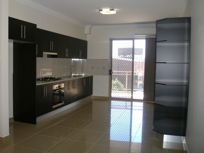 48 HILLIERS STREET, Auburn NSW 2144