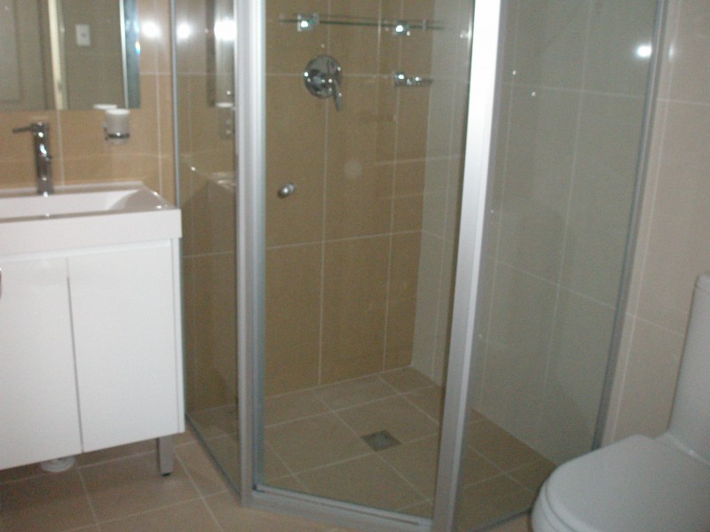 48 HILLIERS STREET, Auburn NSW 2144