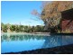 10 Birnam Grove, Strathfield NSW 2135