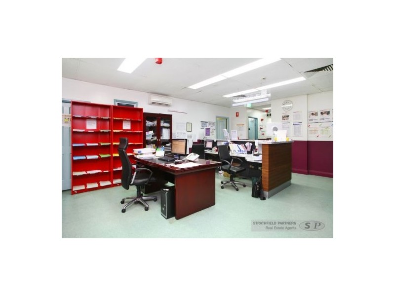 29 The Crescent, Homebush NSW 2140