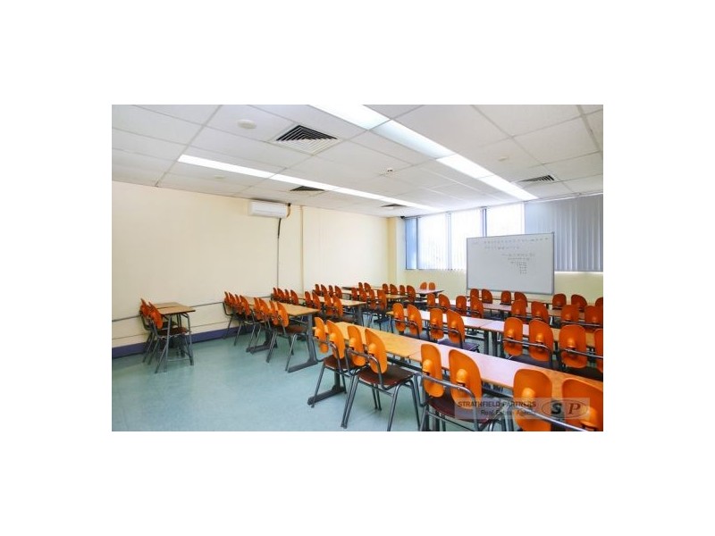 29 The Crescent, Homebush NSW 2140