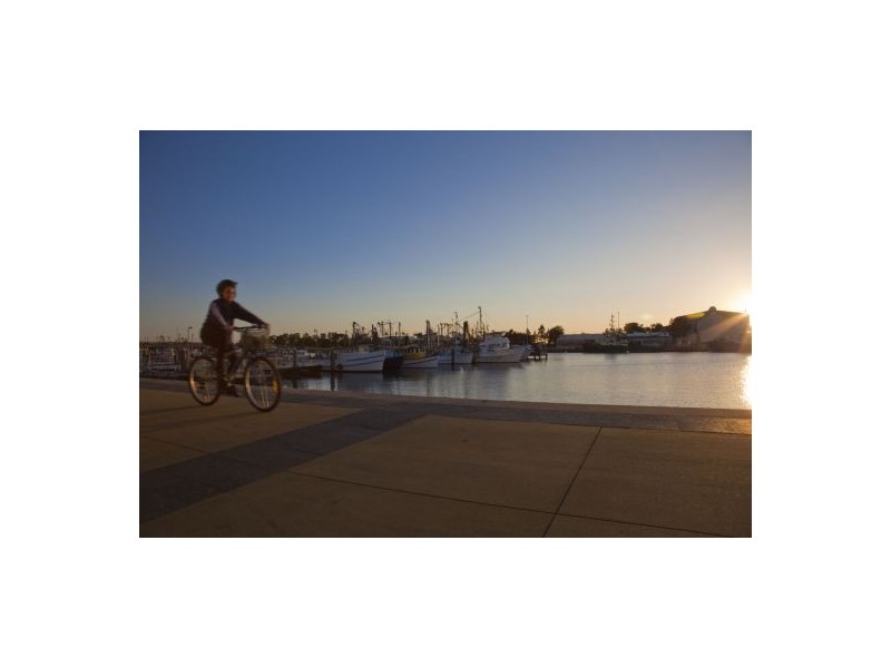 15 Honeysuckle Drv, Newcastle NSW 2300