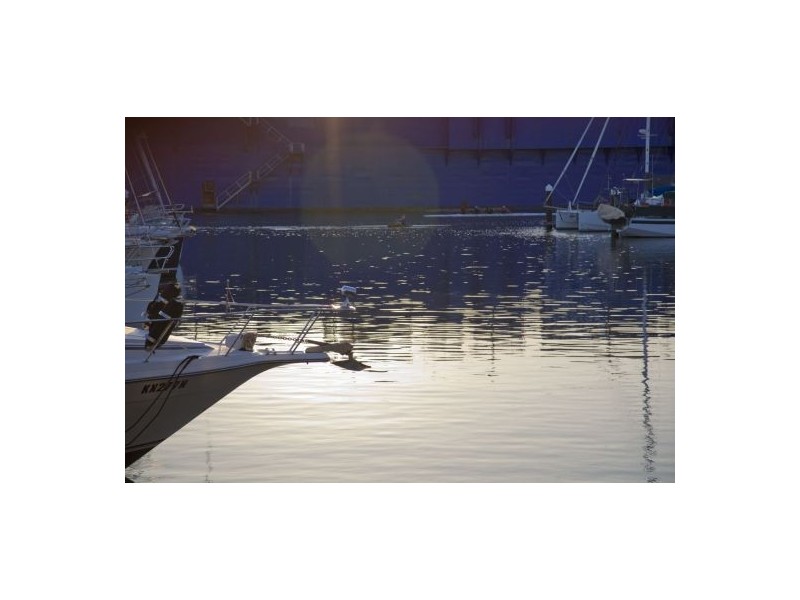 A5.503 17 Honeysuckle Drive, Newcastle NSW 2300