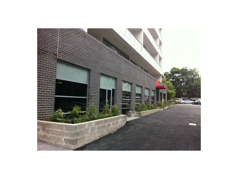 48 Cooper Street, Strathfield NSW 2135