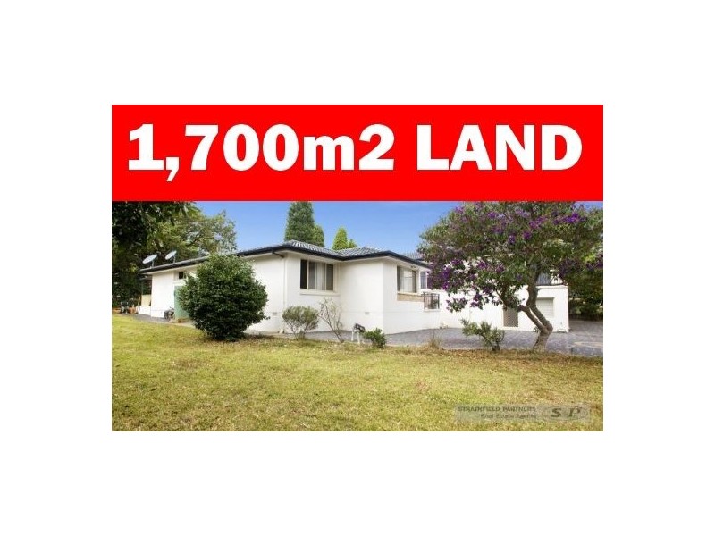 18A Grove Street, Eastwood NSW 2122