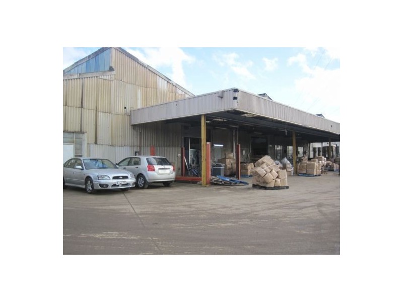 2/50 COSGROVE, Strathfield NSW 2135