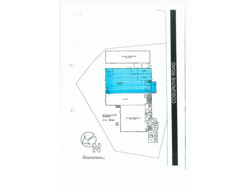 2/50 COSGROVE, Strathfield NSW 2135