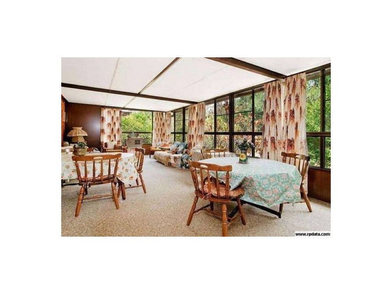 110 Newton, Strathfield NSW 2135