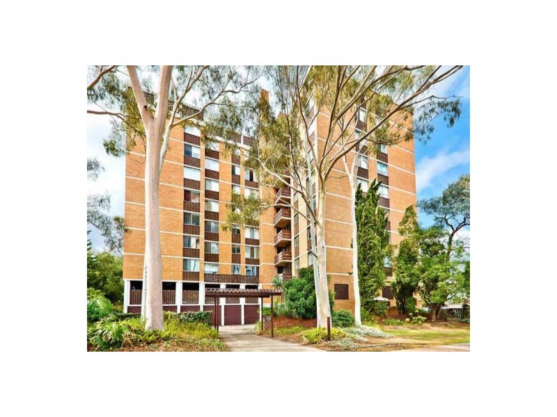 Strathfield NSW 2135