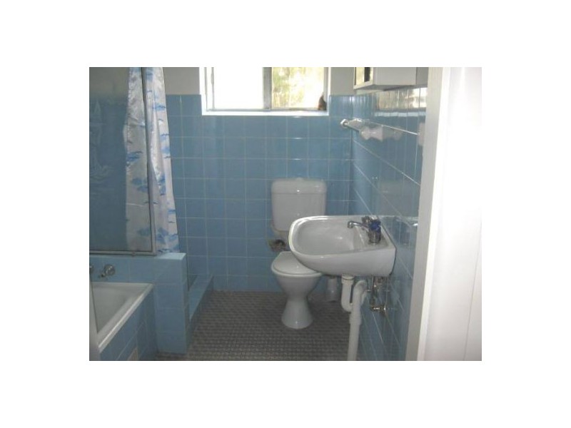 3/185 Norton Street, Ashfield NSW 2131