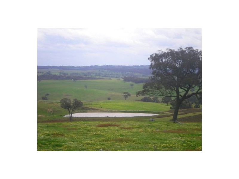 - Ironmine Road, Crookwell NSW 2583