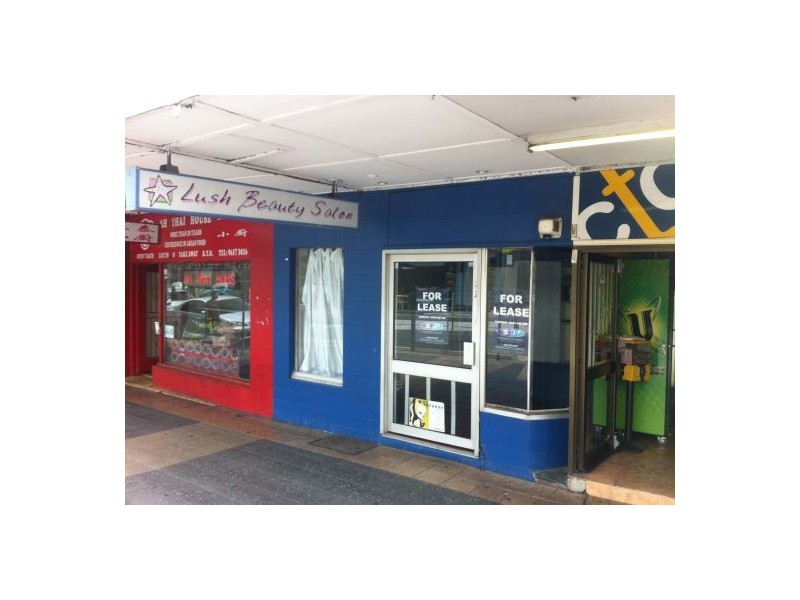 33A SOUTH STREET, Granville NSW 2142