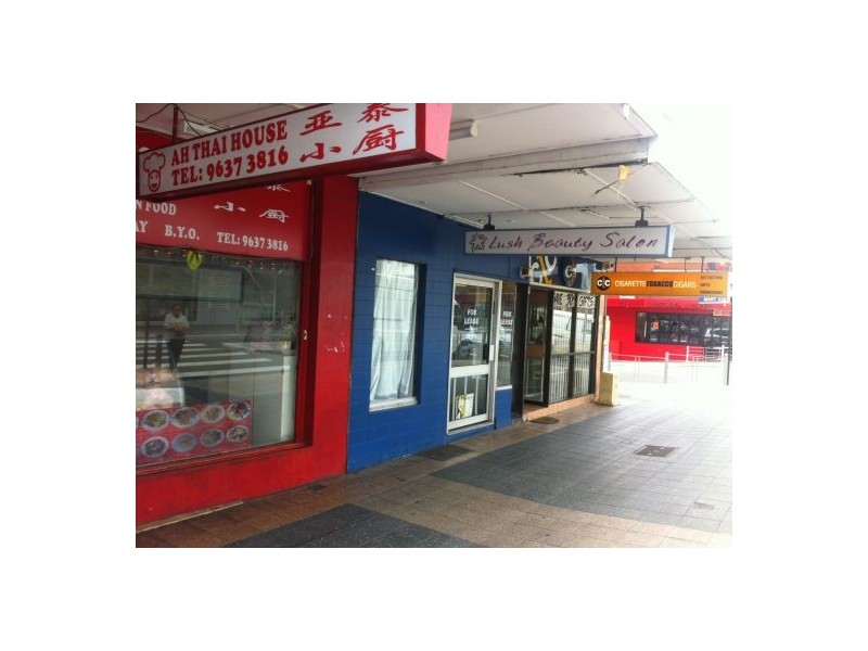 33A SOUTH STREET, Granville NSW 2142