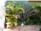 Birkdale QLD 4159