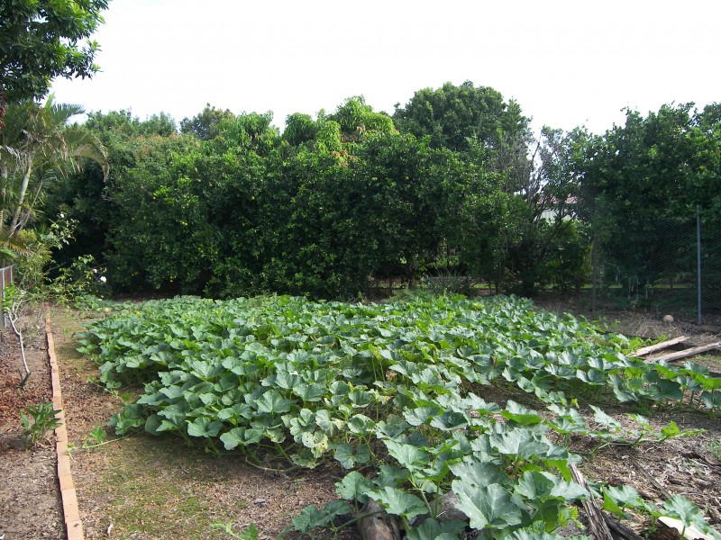 Victoria Point QLD 4165