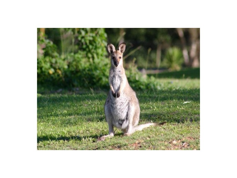 Mount Cotton QLD 4165