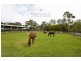Gumdale QLD 4154