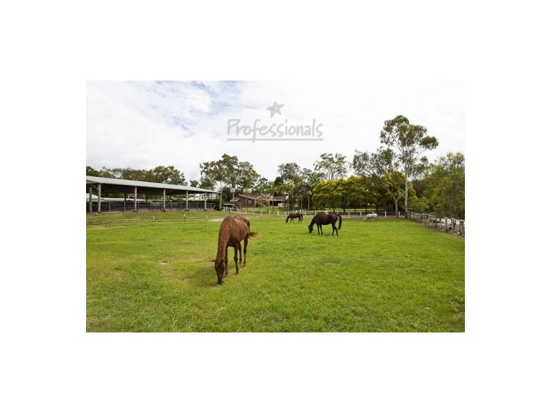 Gumdale QLD 4154