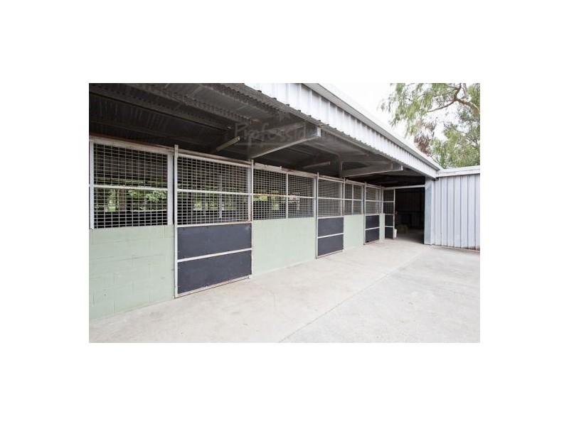 Gumdale QLD 4154
