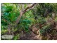3 Timbertop Court, Capalaba QLD 4157