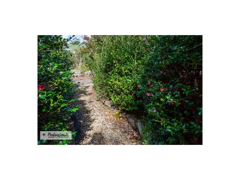 3 Timbertop Court, Capalaba QLD 4157