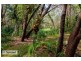 3 Timbertop Court, Capalaba QLD 4157