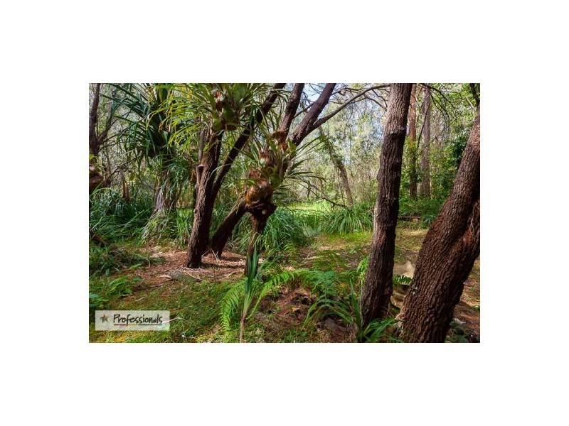 3 Timbertop Court, Capalaba QLD 4157