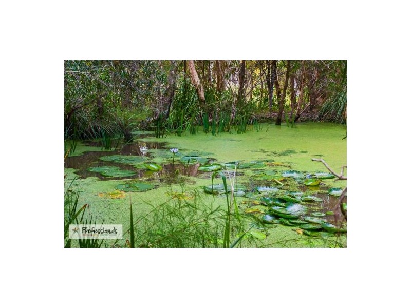 3 Timbertop Court, Capalaba QLD 4157