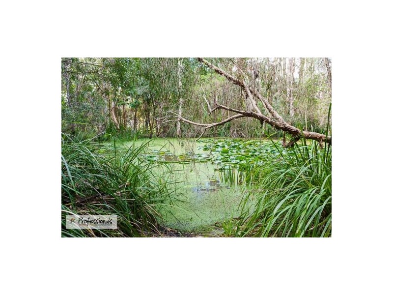 3 Timbertop Court, Capalaba QLD 4157