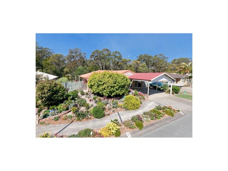 3 Water Lily Drive, Capalaba QLD 4157