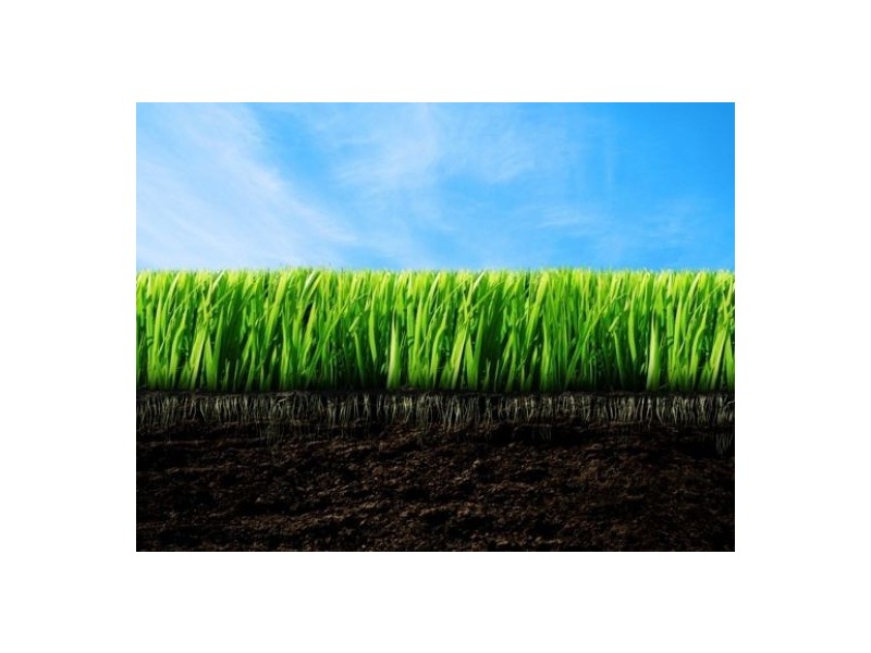 16 Brindabella Circuit, Thornlands QLD 4164