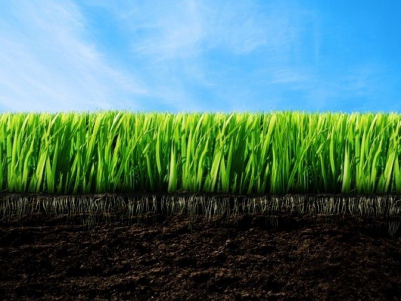 122 Davenport Street, Thornlands QLD 4164