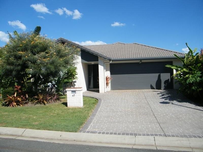 47 Macfarlan Street, Birkdale QLD 4159
