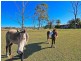 38 Gordon Rd, Redland Bay QLD 4165