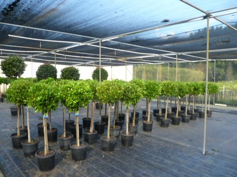 1685 Mt Cotton Rd, Mount Cotton QLD 4165